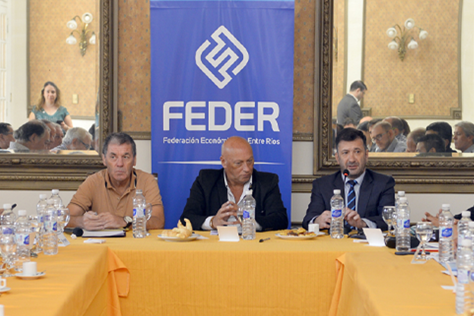 Ballay y Kueider expusieron cómo reducir la tarifa eléctrica en Entre Ríos