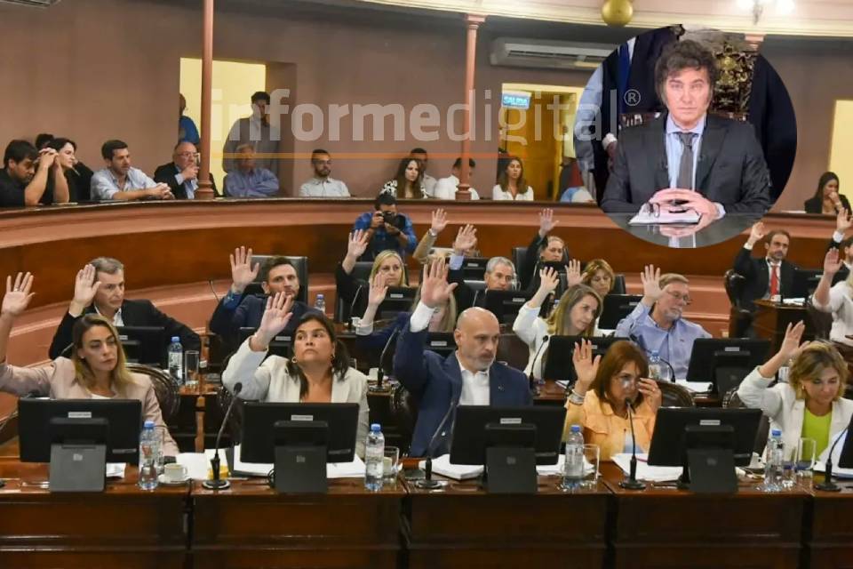 Legisladores provinciales del PJ también piden rechazar el DNU de Milei 