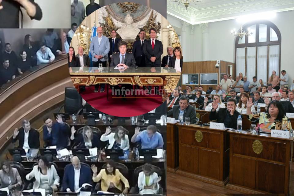 Legisladores provinciales del PJ también piden rechazar el DNU de Milei 