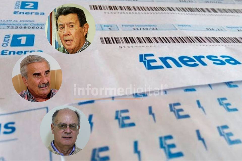  Apoyaron a Frigerio pero cuestionan su medida para paliar el aumento de la luz 