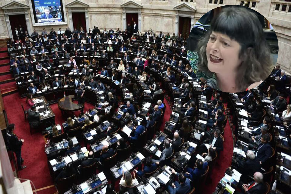 Gritos, insultos y frase polémica a diputada entrerriana