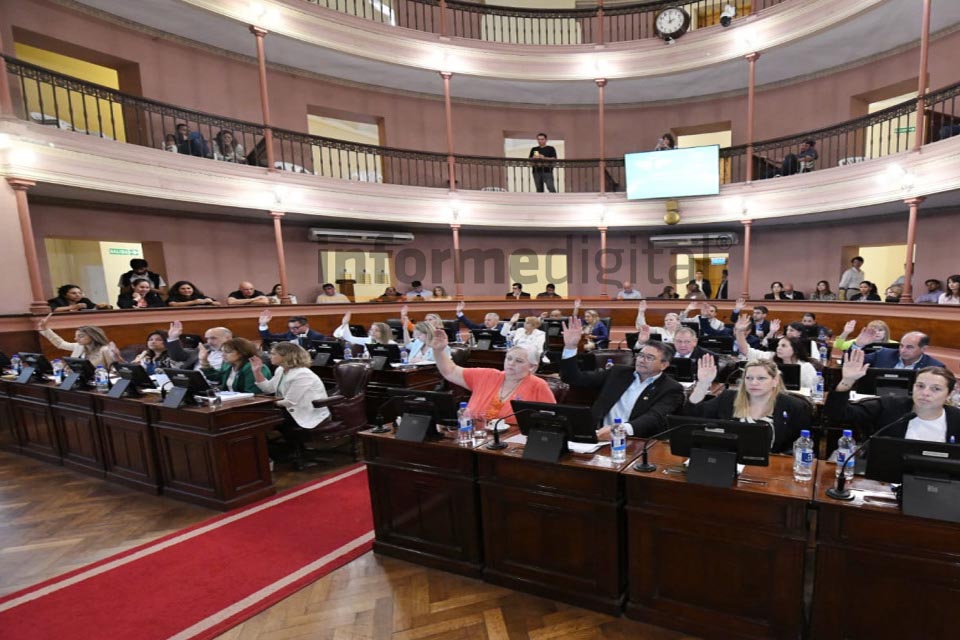 Logró la media sanción en Diputados: números y polémica
