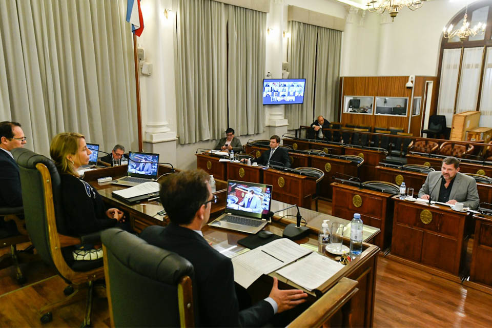 También votan en contra en el Senado