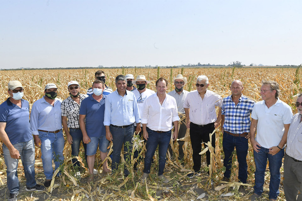 Entre Ríos declaró la emergencia agropecuaria