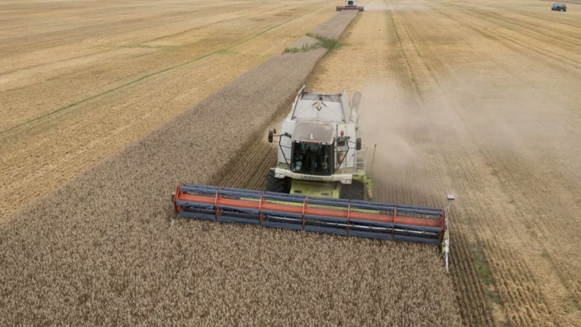 El peso del Estado sobre el campo: ¿Cuánto se lleva de cada hectárea?