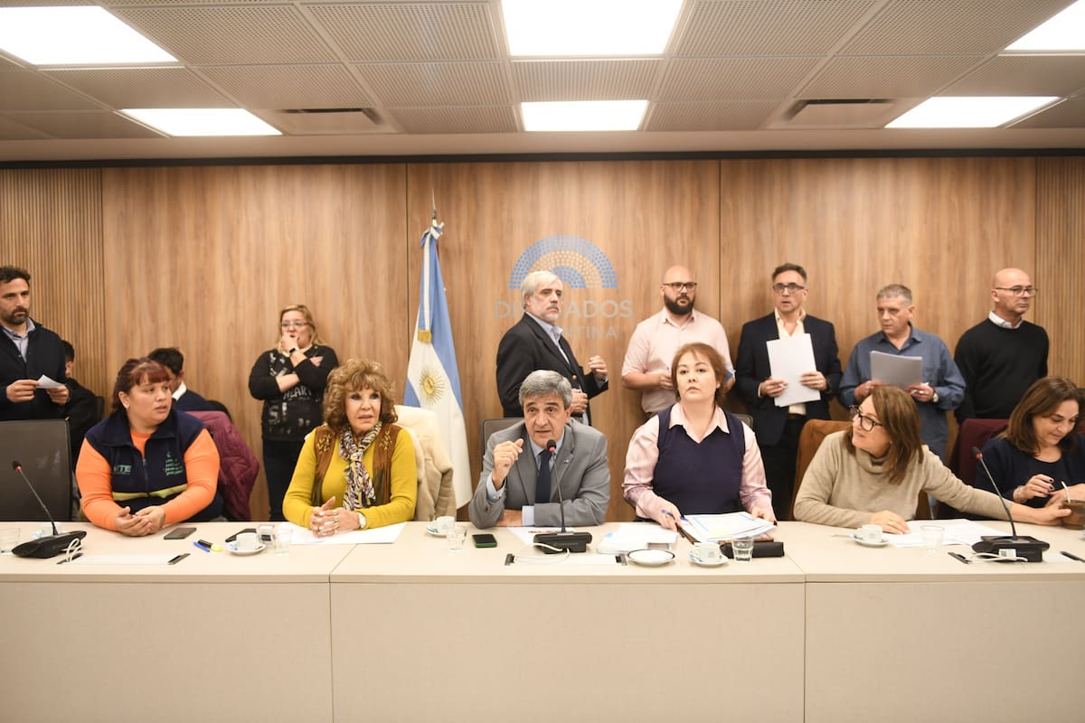 Presión desde el Congreso. Avanza la emergencia pediátrica para sostener el funcionamiento del Garrahan
