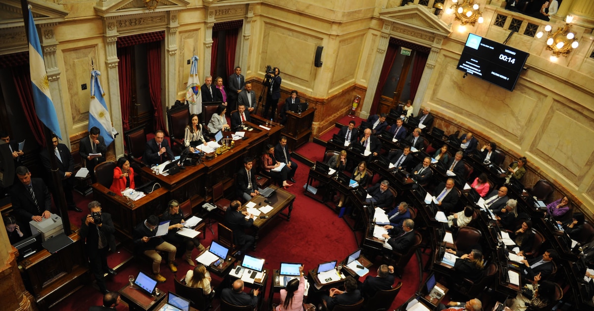 Contraataque libertario en el Senado: no validarán lo avanzado sobre jubilaciones, moratoria y discapacidad