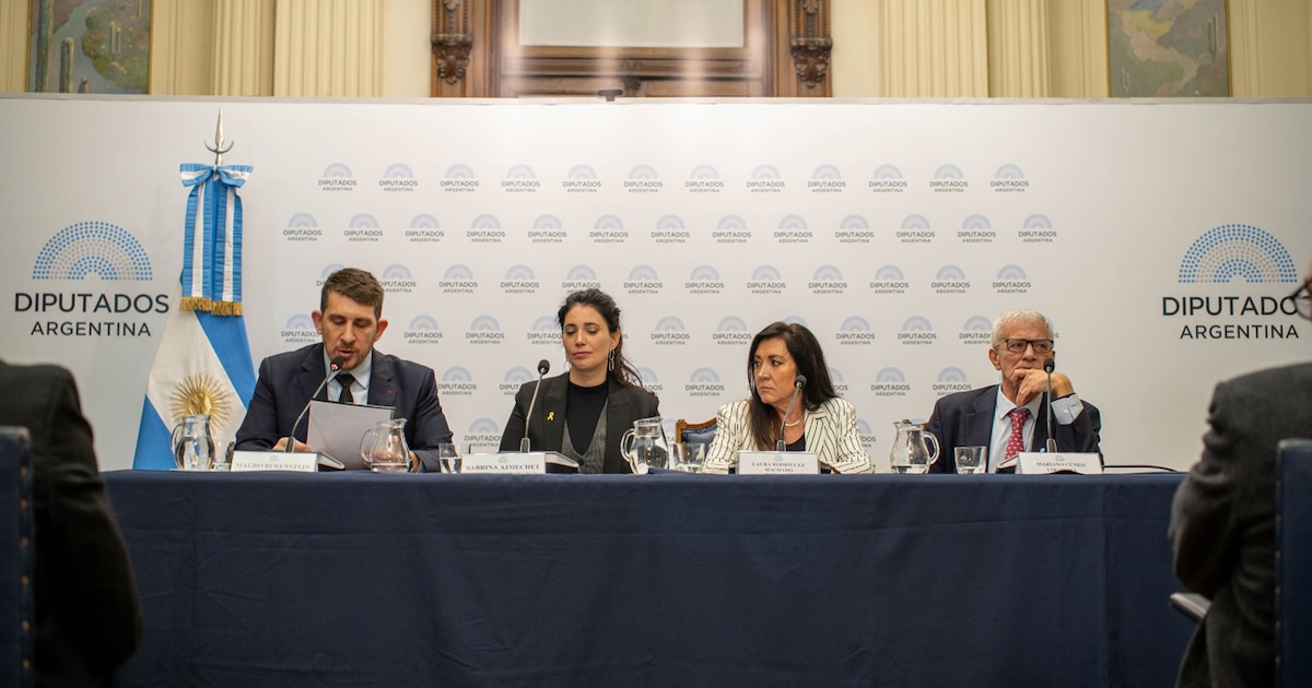 Mauro Berenstein celebra la Ley de Juicio en Ausencia como una victoria ética en la conmemoración del atentado a la AMIA