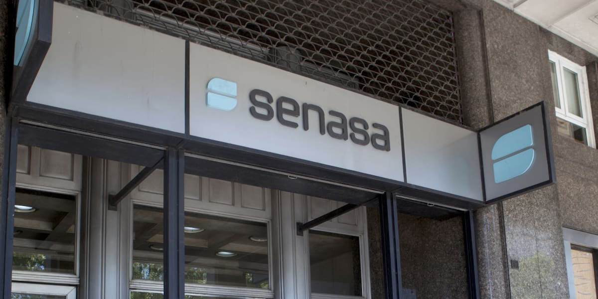 Laboratorios piden a Senasa reevaluar flexibilización en la importación de vacunas veterinarias