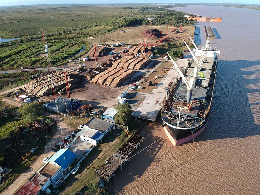 Desde Entre Ríos: el puerto de Ibicuy impulsa la vuelta de exportaciones de ganado en pie a Israel