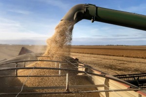 El agro generaría hasta US$60.000 millones para el país, según proyección destacada.