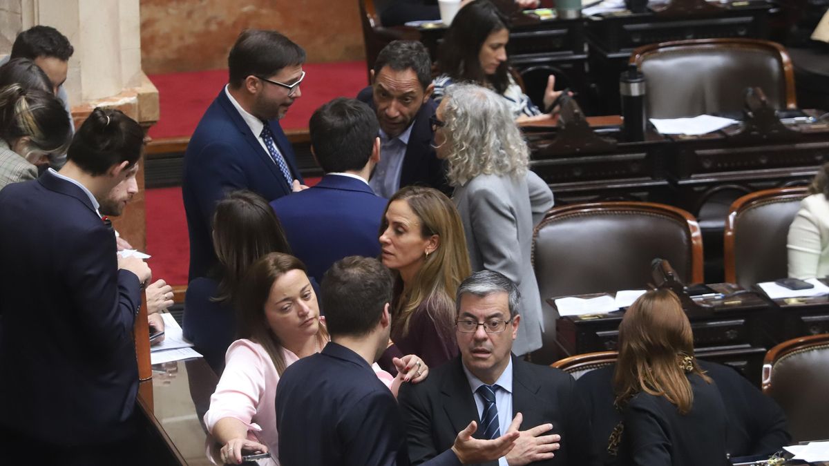 Garrahan y universidades, la agenda prioritaria con la que la oposición en Diputados presiona al Gobierno