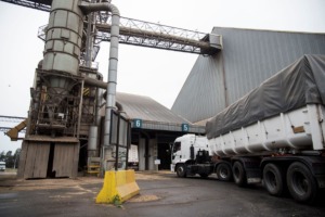 El precio del producto que más dólares genera al país alcanza su nivel más bajo histórico