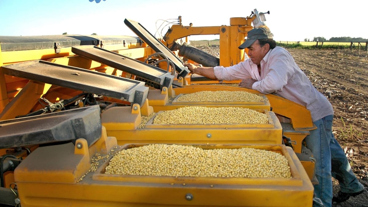 La industria semillera busca garantizar una transición sin demoras en los procesos de producción y distribución